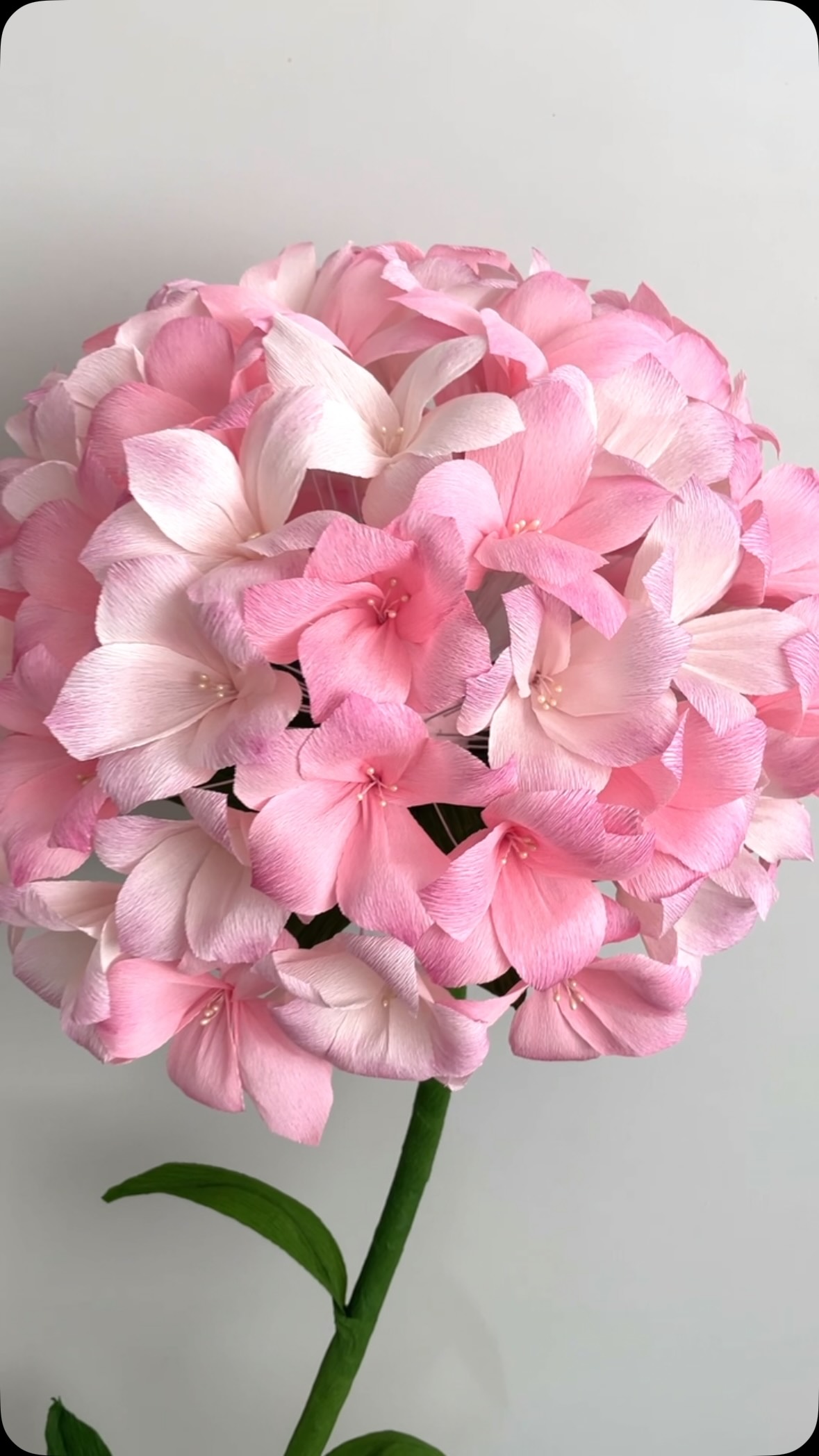 Have a wonderful day!!#thepaperbloomsg #sustainableflowers #paperflowerssg #paperartwork #eventdecor