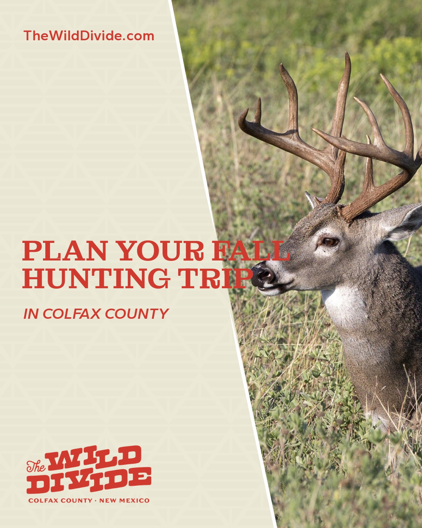 Elk country is calling 🦌 Plan your next guided hunt in Colfax County! Visit our blog (link in bio) to read more!⛰️
#TheWildDivide #ColfaxCounty #VisitColfaxCounty #NewMexico #NewMexicoTrue