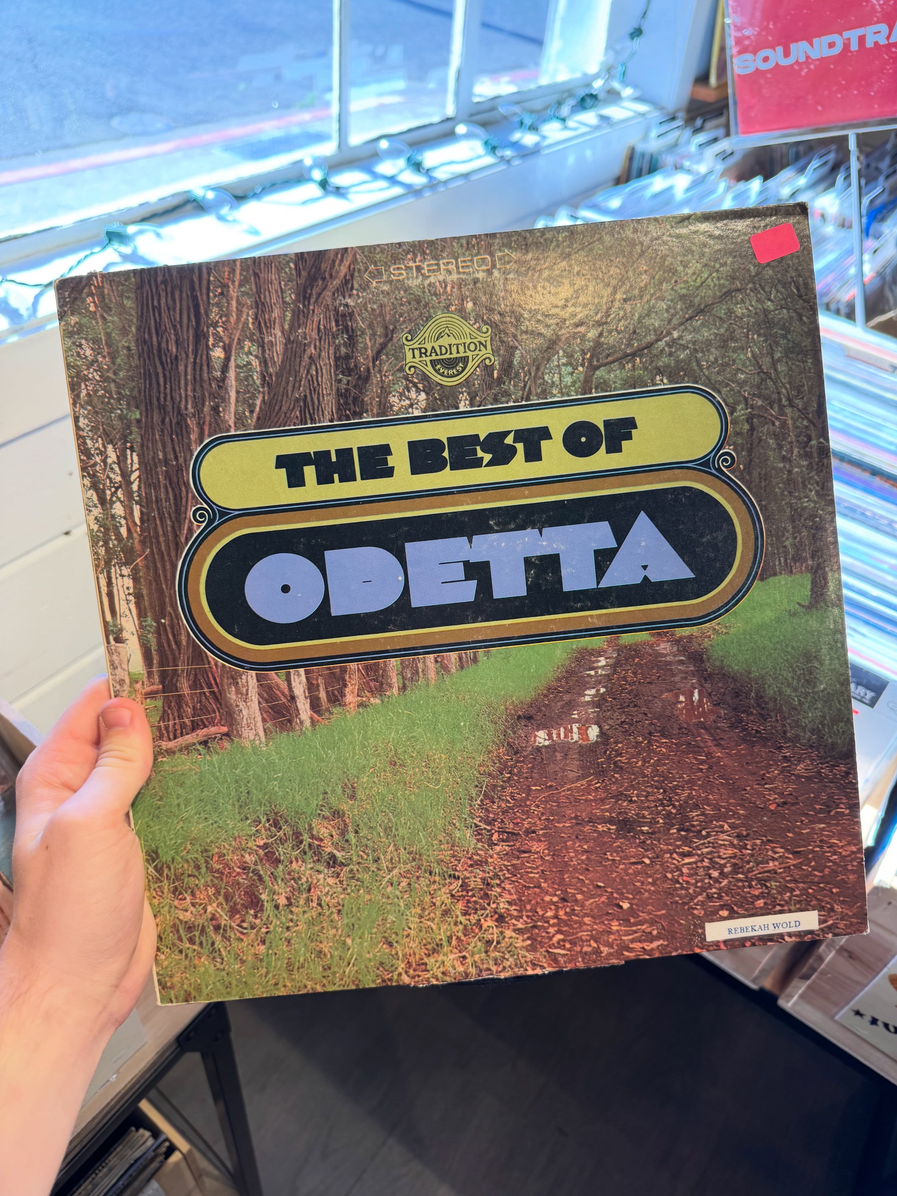 Flip through of our $5 box. Featuring Odetta 🎶
#fatelephantrecords