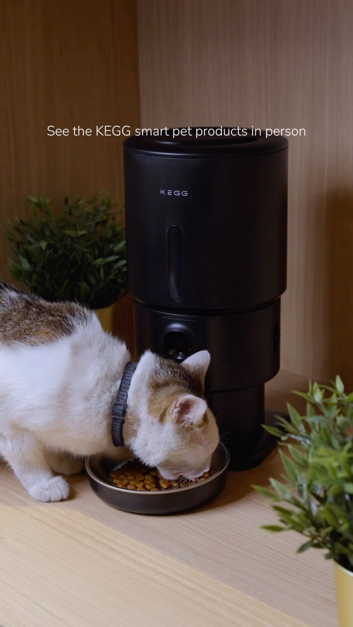 KEGG, kini dapat ditemukan di Modernvet ๐ค
Kenali lebih dekat rangkaian smart pet products dari KEGG yang dirancang untuk menghadirkan kemudahan dan teknologi dalam keseharian bersama anabul.
Temukan Smart Pet Feeder dan Smart Wet Food Feeder di Modernvet Radio Dalam, serta Smart Litter Box LITE di Modernvet BSD.
Lihat lebih dekat dan temukan bagaimana smart technology dapat menjadi bagian dari rutinitas perawatan anabul Anda.
#ModernvetxKEGG
โ
Discover KEGG, now at Modernvet ๐ค
Experience KEGGโs smart pet products up close, designed to bring greater convenience and thoughtful technology into everyday pet care.
Explore the Smart Pet Feeder and Smart Wet Food Feeder at Modernvet Radio Dalam, and discover the Smart Litter Box LITE at Modernvet BSD.
Take a closer look, and discover how smart technology can seamlessly become part of your petโs daily routine.
#ModernvetxKEGG