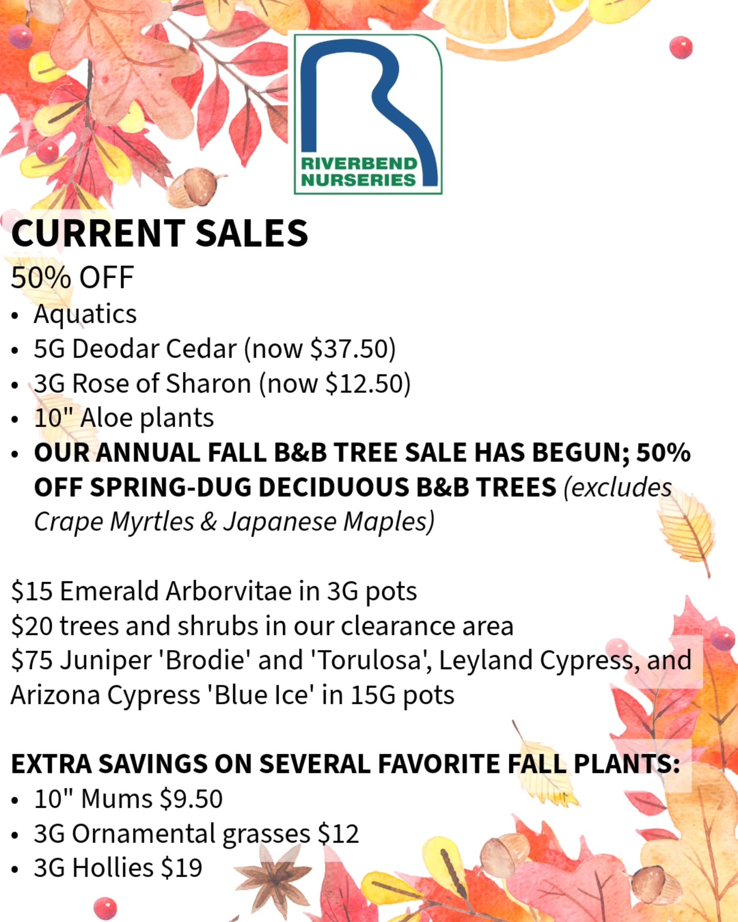 🌼🍁✨️ Come on over and enjoy this day at your local nursery. Added bonus if you can plant today before the rain comes in! 🌧☔️
👉 >> to learn how to care for perennial Mums🌼