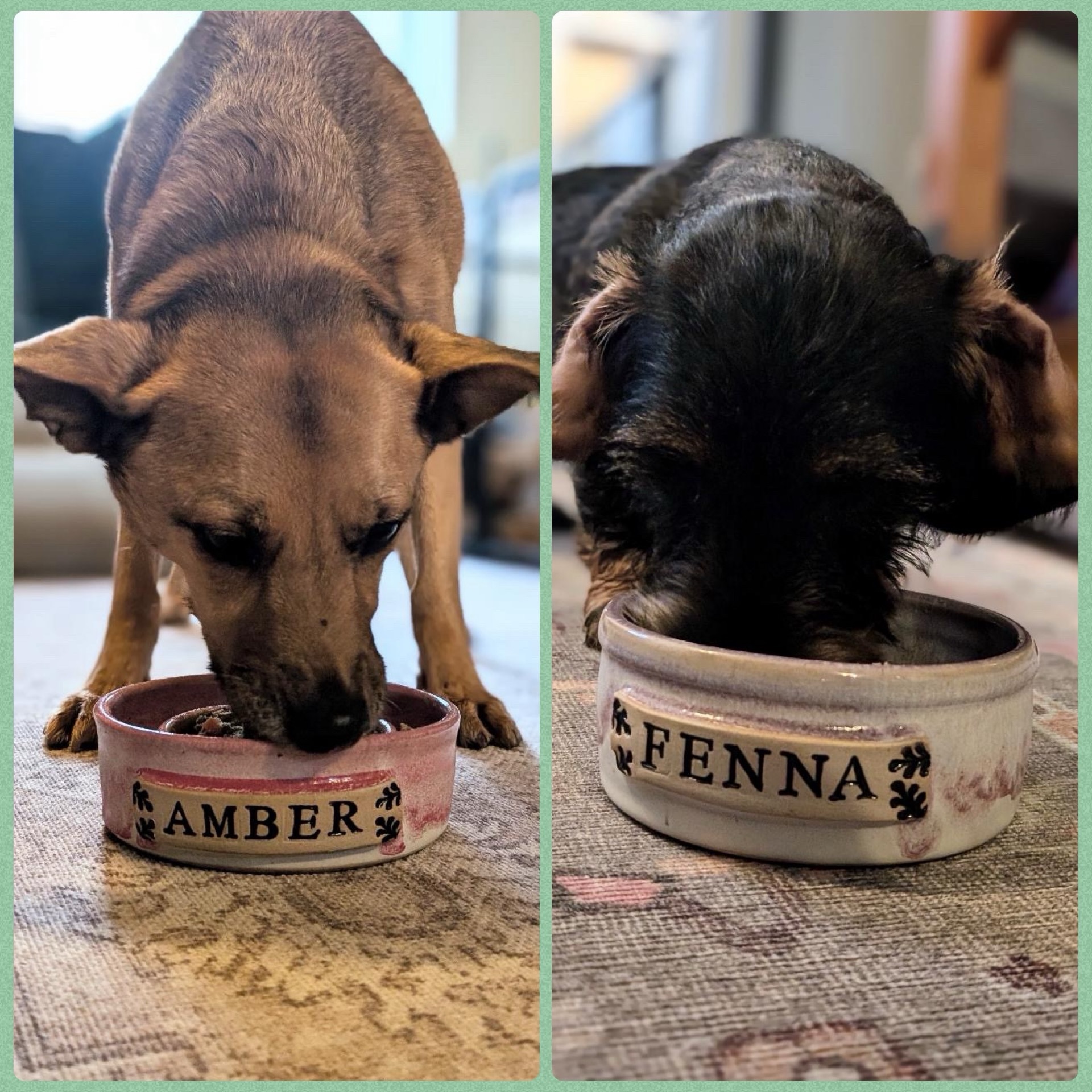 #day3 of a post everyday for a month!
“Hey Andy. I just wanted to send you a message to say a massive thank you for your beautiful work. I received my girls food bowls today and they are absolutely stunning ! 🤩”Messages like this make my day. Look at these darlings having their first dinner out of their new bowls🐾💕 #ceramicpetbowls #personalisedpetgifts #slowfeederdogbowl #doglovergift