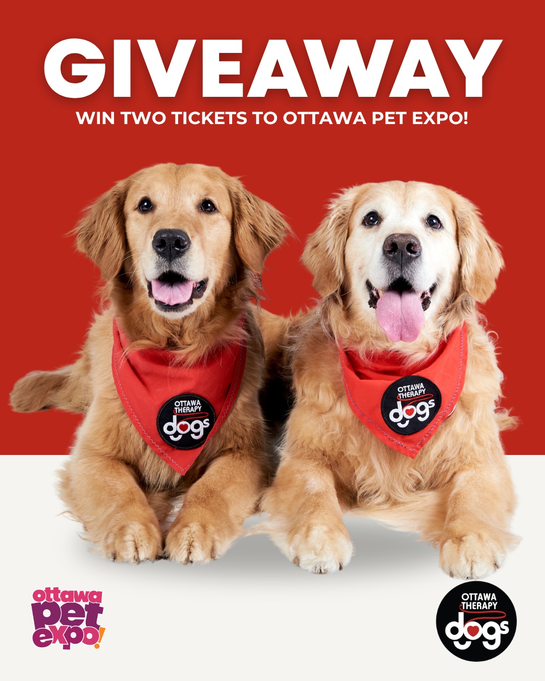 We are already counting down the days until @ottpetexpo and are giving away two tickets so that you and a friend have the opportunity to visit the Ottawa Therapy Dogs booth! To enter, simply tag the person below who you wish to bring along and make sure you are following us. The giveaway closes at noon on October 10th, and the winner will be announced later that day.