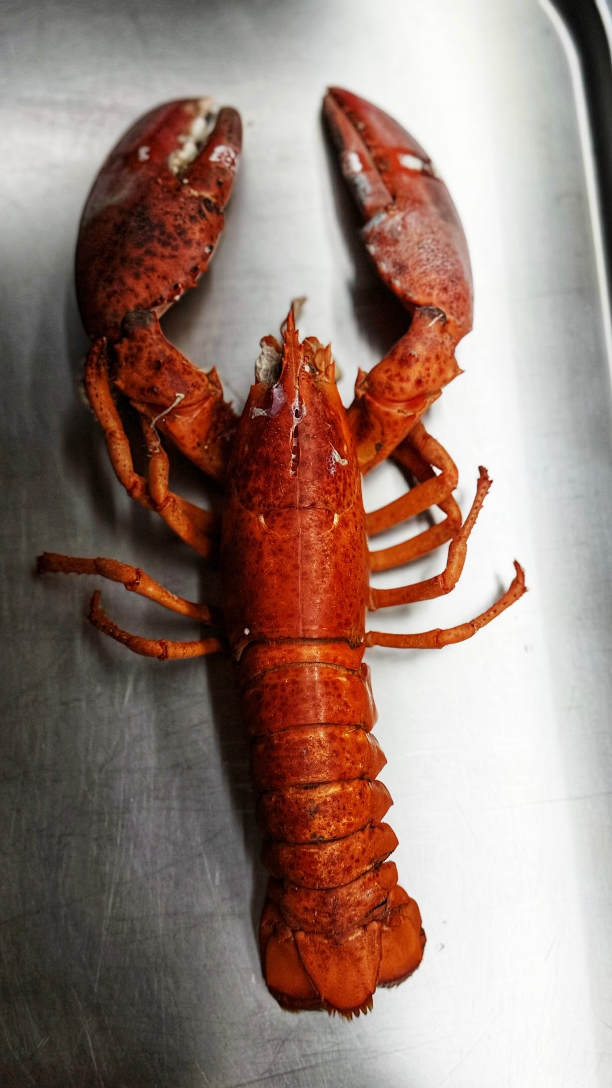 🦞 LOBSTER WEEKEND EN COMO YO🦞
Un pequeño lujo por el que merece la pena salir a cenar en el corazón de Valencia✨
Langosta, vino, música en vivo y esa atmósfera especial que solo se vive en COMO YO❤️
Este finde, date un capricho🤩
📍 Plaza Tetuán, 18 · Valencia
📞 624 098 889
Reserva tu mesa y disfruta del momento
__________________
🦞 LOBSTER WEEKEND AT COMO YO🦞
A little luxury worth going out for, right in the heart of Valencia✨
Lobster, wine, live music, and that special atmosphere you can only experience at COMO YO❤️
Treat yourself this weekend🤩
📍 Plaza Tetuán, 18 · Valencia
📞 624 098 889
Reserve your table and savour the moment
#valencia #comida #dinner #restaurante #cocteles