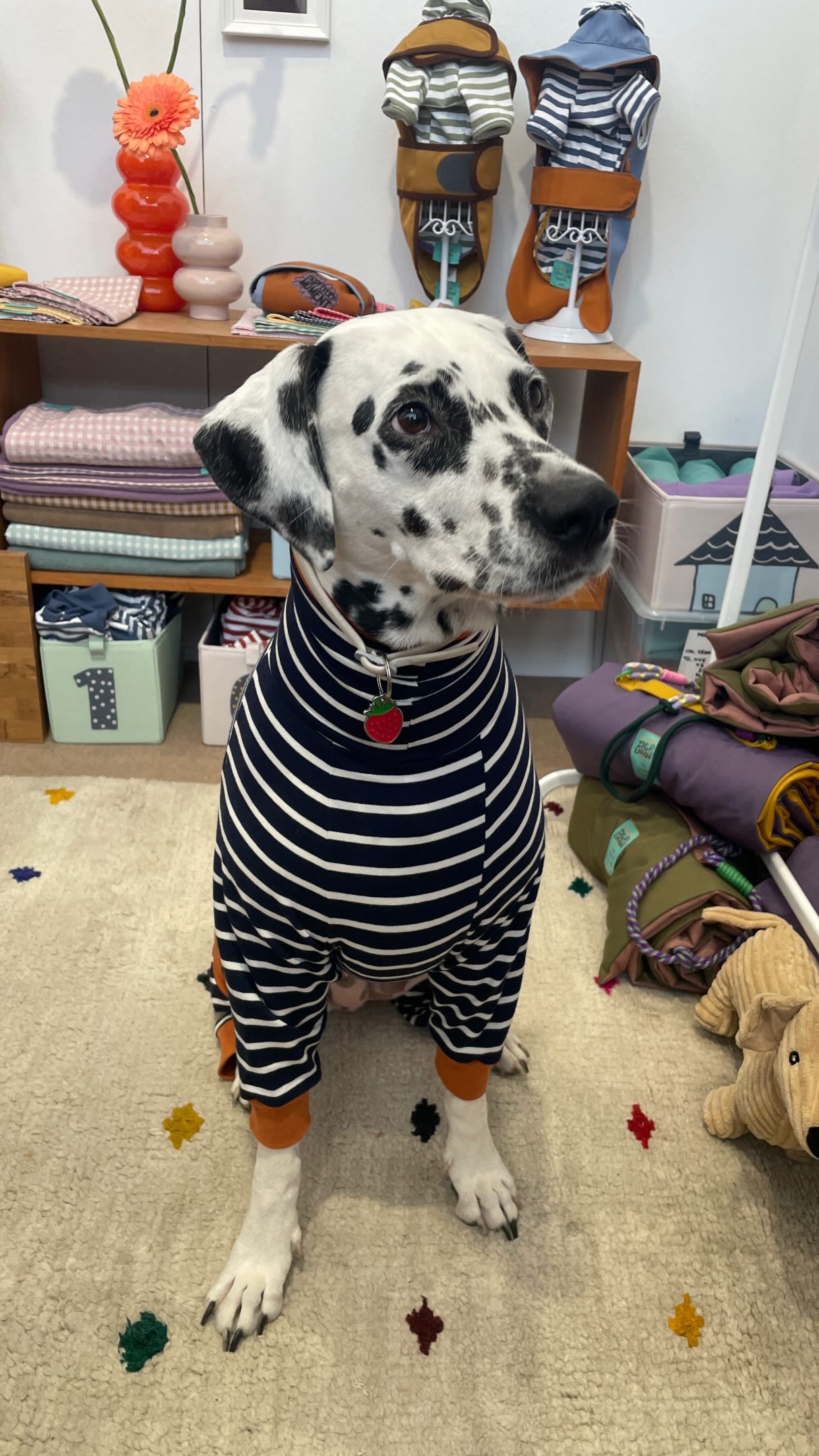 DOGS WE MET.
Due giorni, un sacco di incontri e una quantità indecente di nasi da annusare.
Quattro Zampe in Fiera è stata soprattutto questo:
cani, persone, curiosità, chiacchiere e nuovi amici a quattro zampe.
Grazie a tutti quelli che sono passati a conoscere Zigzagoo® — e soprattutto a tutti i cani che hanno fatto visita al nostro stand.
See you out there.
