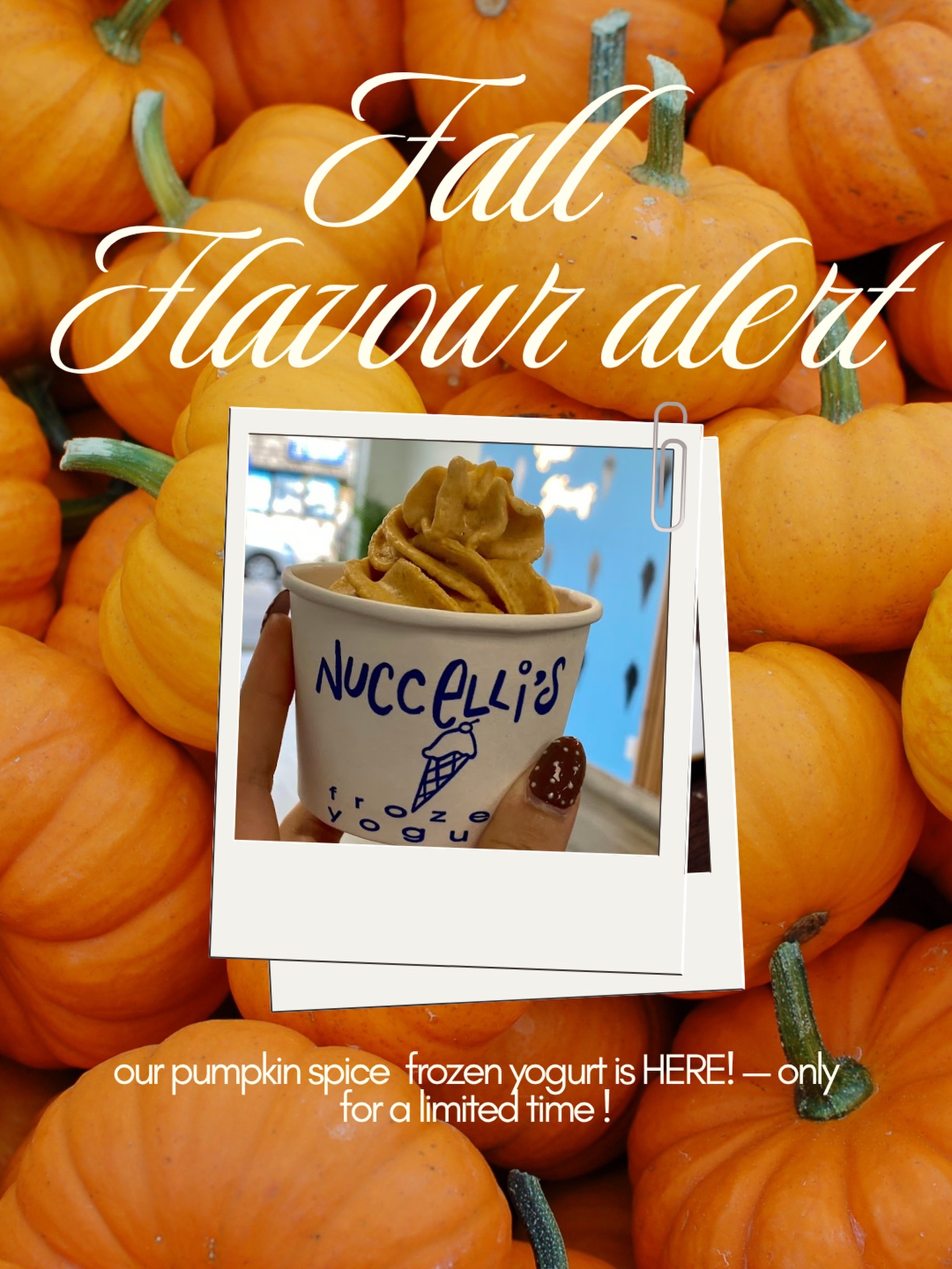 🚨send this to your dessert loving bestie 🫶🏻
🎃Pumpkin spice frozen yogurt only shows up once a year!!
Thanksgiving weekend hours :
Friday: 1-9pm
Saturday: 11am-9pm
Sunday: 11am-8:30pm
Monday: CLOSED
#essexcountyeats #yqgbusiness #ontsouthwest #windsoreats #pumkinspice