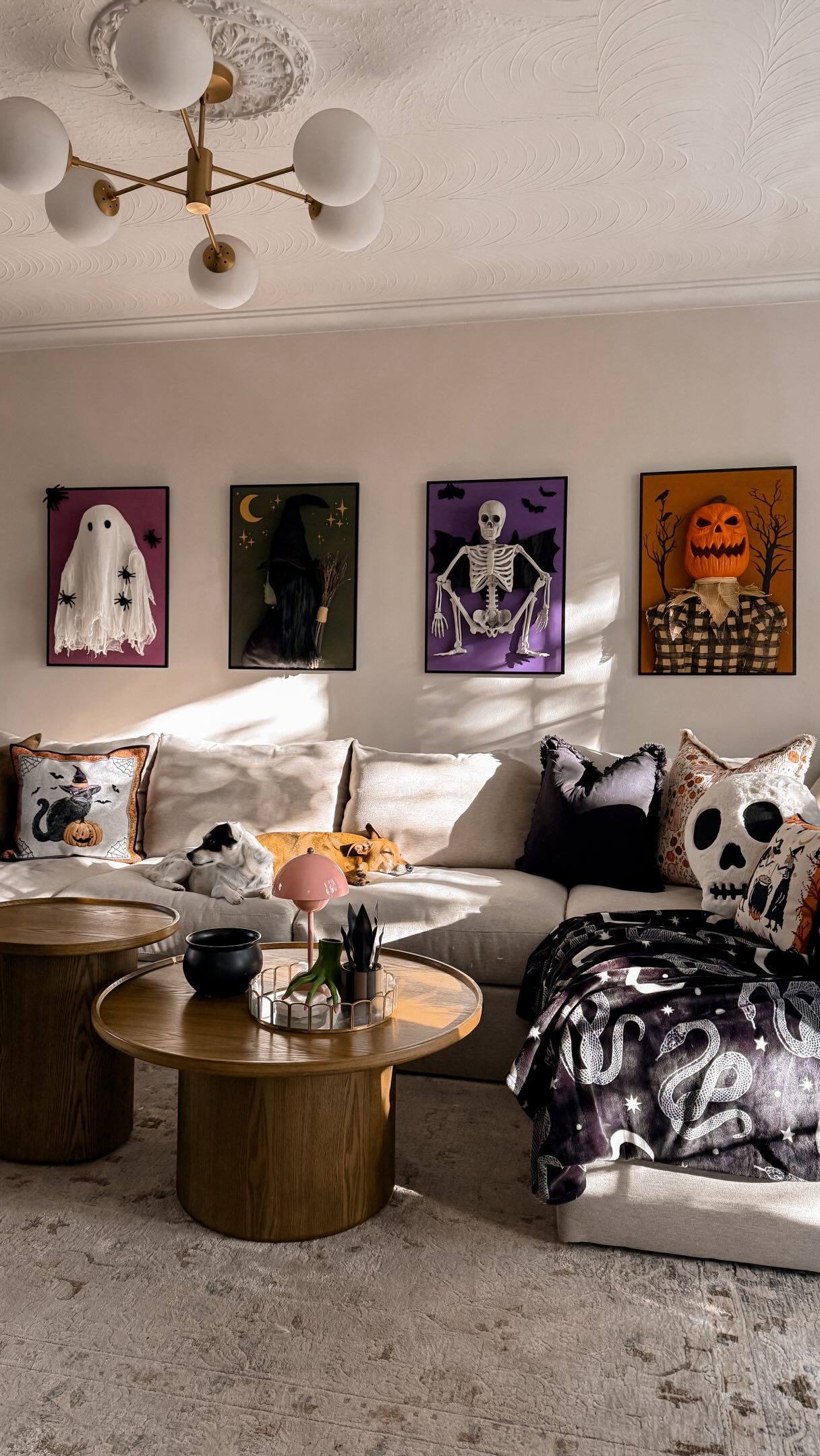 making the living room feel a little more like home for my spooky friends 👻🧙♀️
#halloweeninspiration #spookyseason #diyhalloween #halloween #halloweenart
halloween decor, halloween ideas, living room decor, fall decorating, halloween crafts