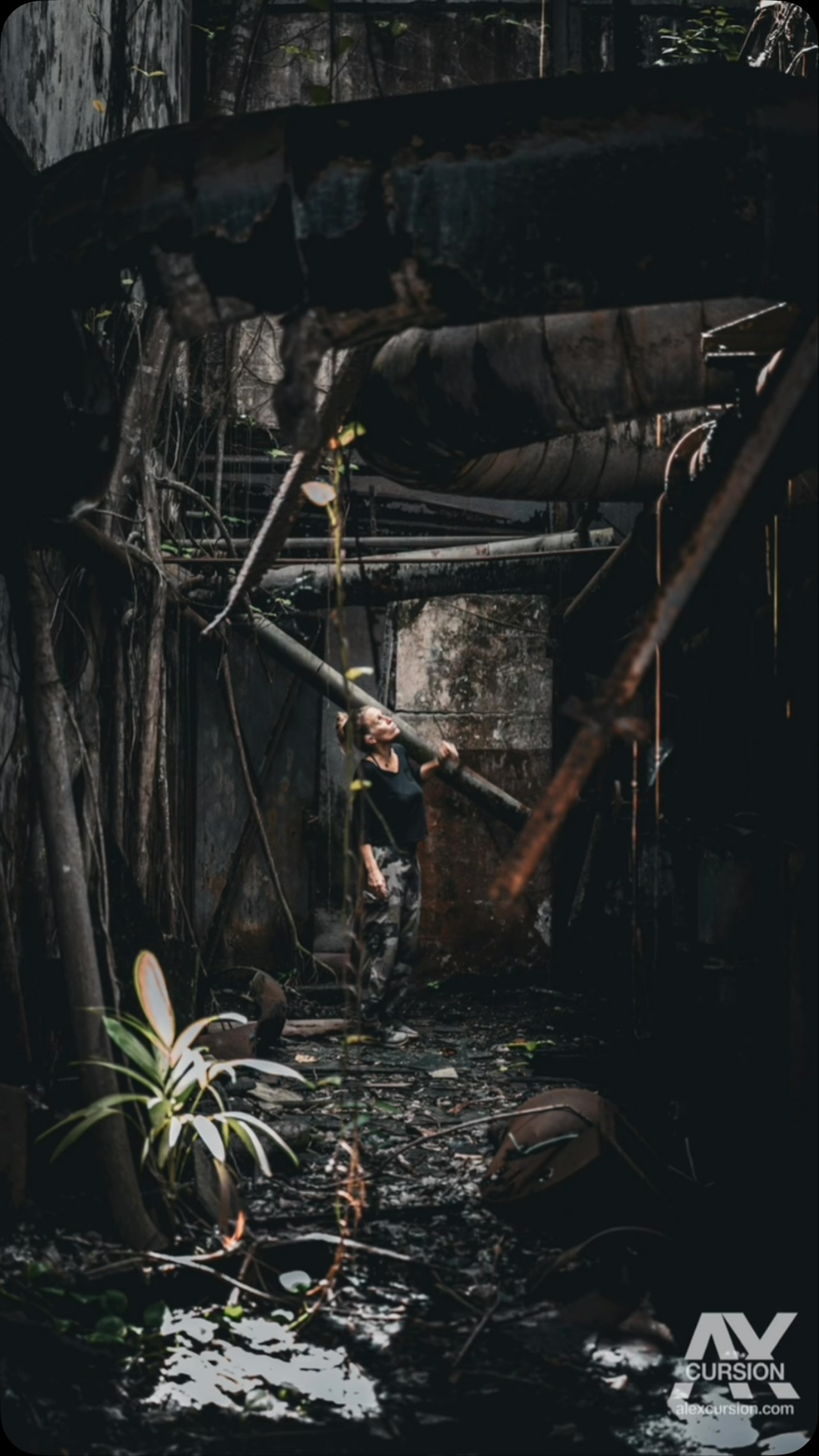En mode Urbex
Explorer là où le temps s’est arrêté
Admirer là où la nature a repris ses droits
Ressentir là où les vestiges résistent
#urbex #vestige #explorer
