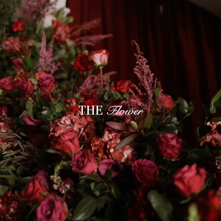 This isn’t just any theater. And this wasn’t just any wedding. 🎭
Over 100 years of history, golden balconies, a red velvet curtain… and a couple who knew their love deserved Cartagena’s most breathtaking stage.
By @marycueterofficial
@vperezdesign
Save this post for when you’re planning yours. 📌
👉 Swipe to the end, the last video will give you chills.
#destinationwedding #weddingplanners #luxuryweddingvenue #luxurywedding #weddinginspiration