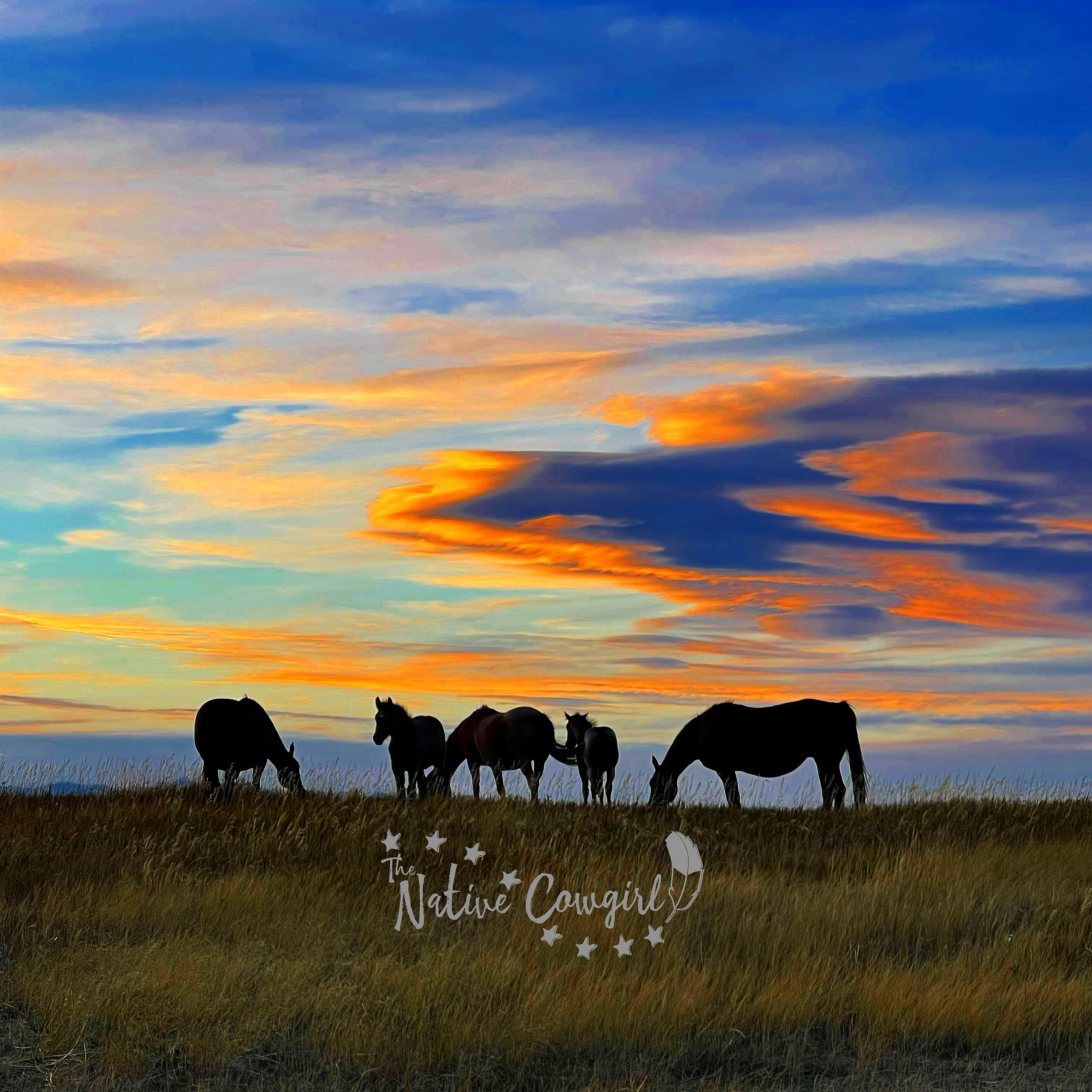 Some of my favorite moments on the ranch aren’t the big ones.
They’re the ordinary ones.
The sound of horses nickering when they see you coming.
Watching the young ones grow and develop their own personalities.
The smell of fresh hay.
The quiet of an early morning before the day’s work begins.
And those moments when you stop what you’re doing, look around, and realize how fortunate you are to live this life.
Ranch life isn’t always easy. There are long days, unexpected challenges, financial worries, and plenty of times when things don’t go according to plan.
But there’s something about being surrounded by animals and the land that keeps bringing me back to what matters.
Connection.
To the land.
To the animals.
To the people we love.
And maybe most importantly, to ourselves.
As I look toward this next chapter of my life, I keep coming back to that word.
Connection.
It’s a big part of why I’m drawn to exploring equine-assisted coaching work. I want to learn more about how the presence of horses can create opportunities for women to slow down, become more aware of themselves, and explore what matters most to them.
I have so much to learn, and I’m excited about that.
But today?
Today I’m simply grateful for the horses, the ranch, and the ordinary moments that continue to shape who I am.
Sometimes the most meaningful parts of our lives are the ones we almost overlook. ❤️
🪶Cheyenne, The Native Cowgirl