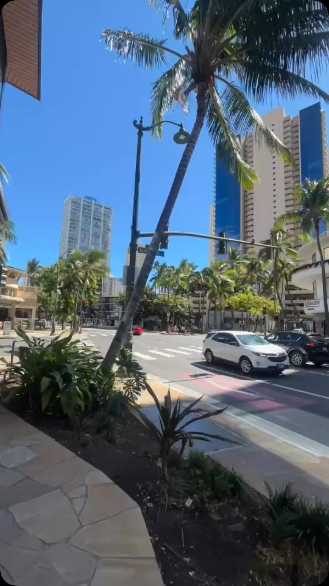 Kuhio Ave walking past the Capital Grille and
Waikiki Market.
#thehawaiiconnection #waikiki #capitalgrille #waikikimarket