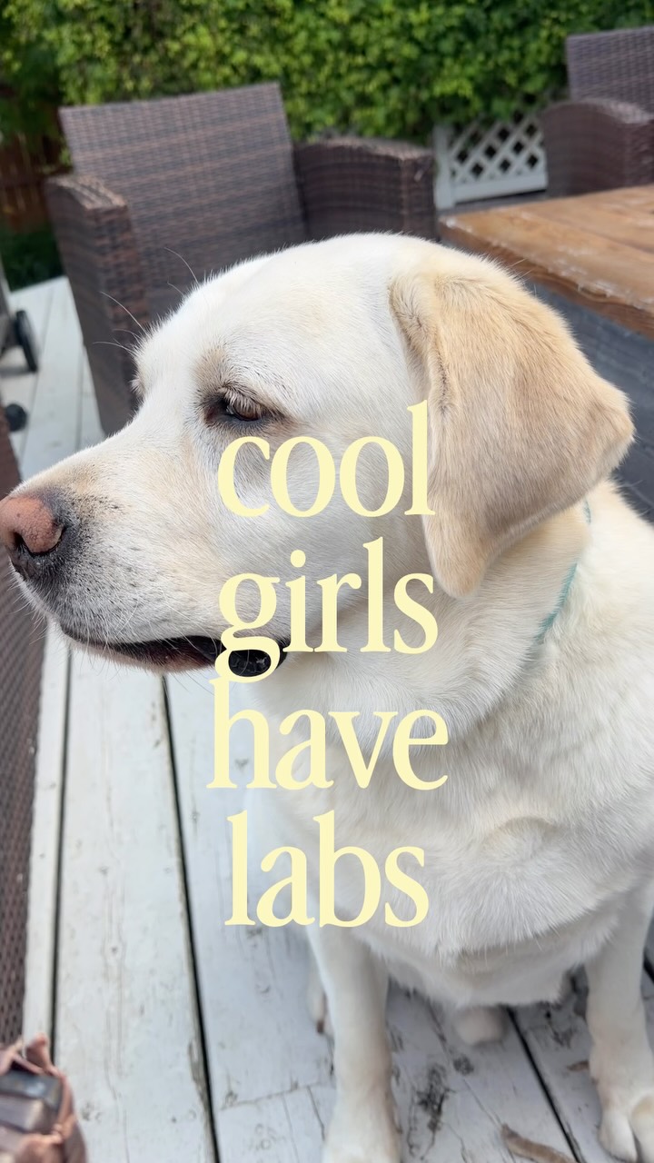 🐶 I think he belongs more to my @melfortcorby but I’m still cool… and will soon be able to walk him again!!! 🙌🏻
#fyp #healing #dogsofinstagram #dog #labrador