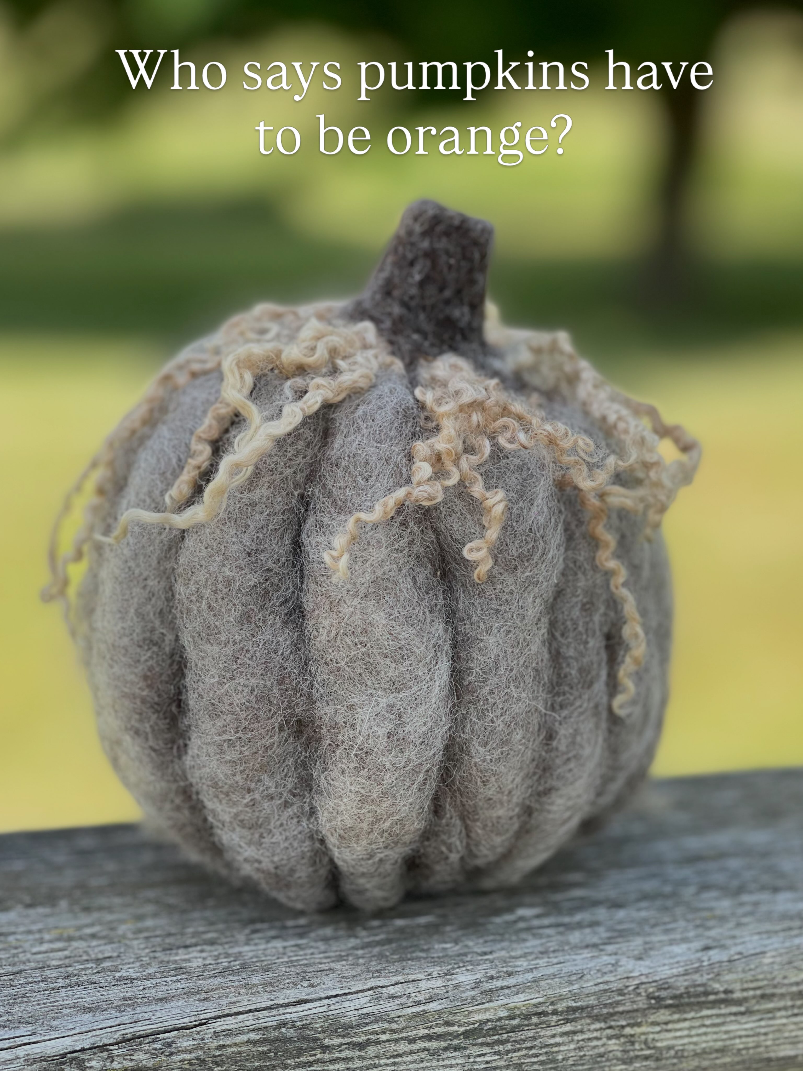 One of the things I love most about wool is the beautiful range of colors sheep grow naturally.
Who says pumpkins have to be orange?