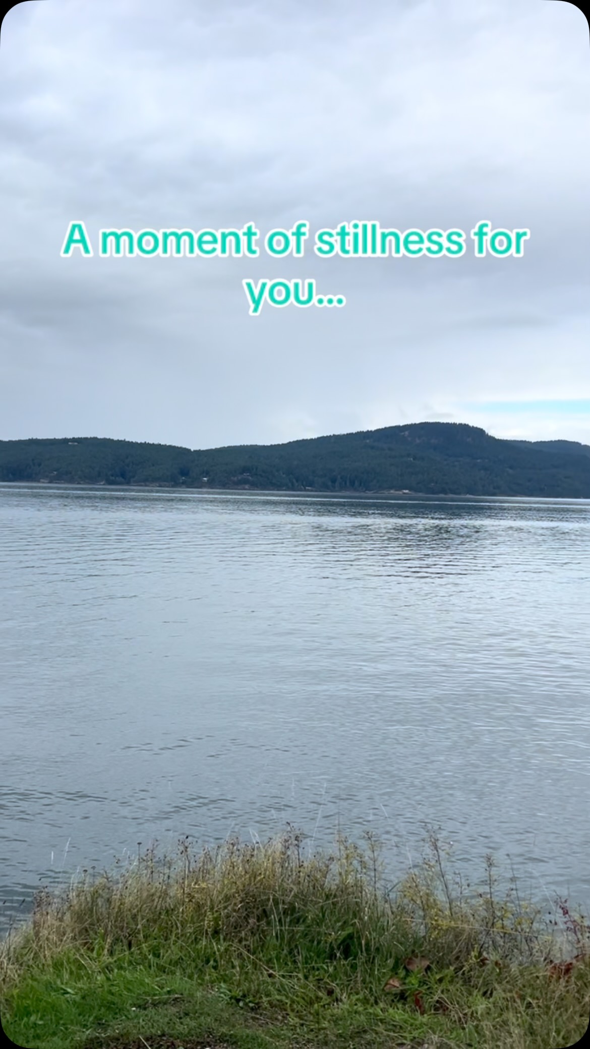 Stillness underlies everything. But sometimes it feels more accessible than usual. #meditation #stillness #nature #orcasisland