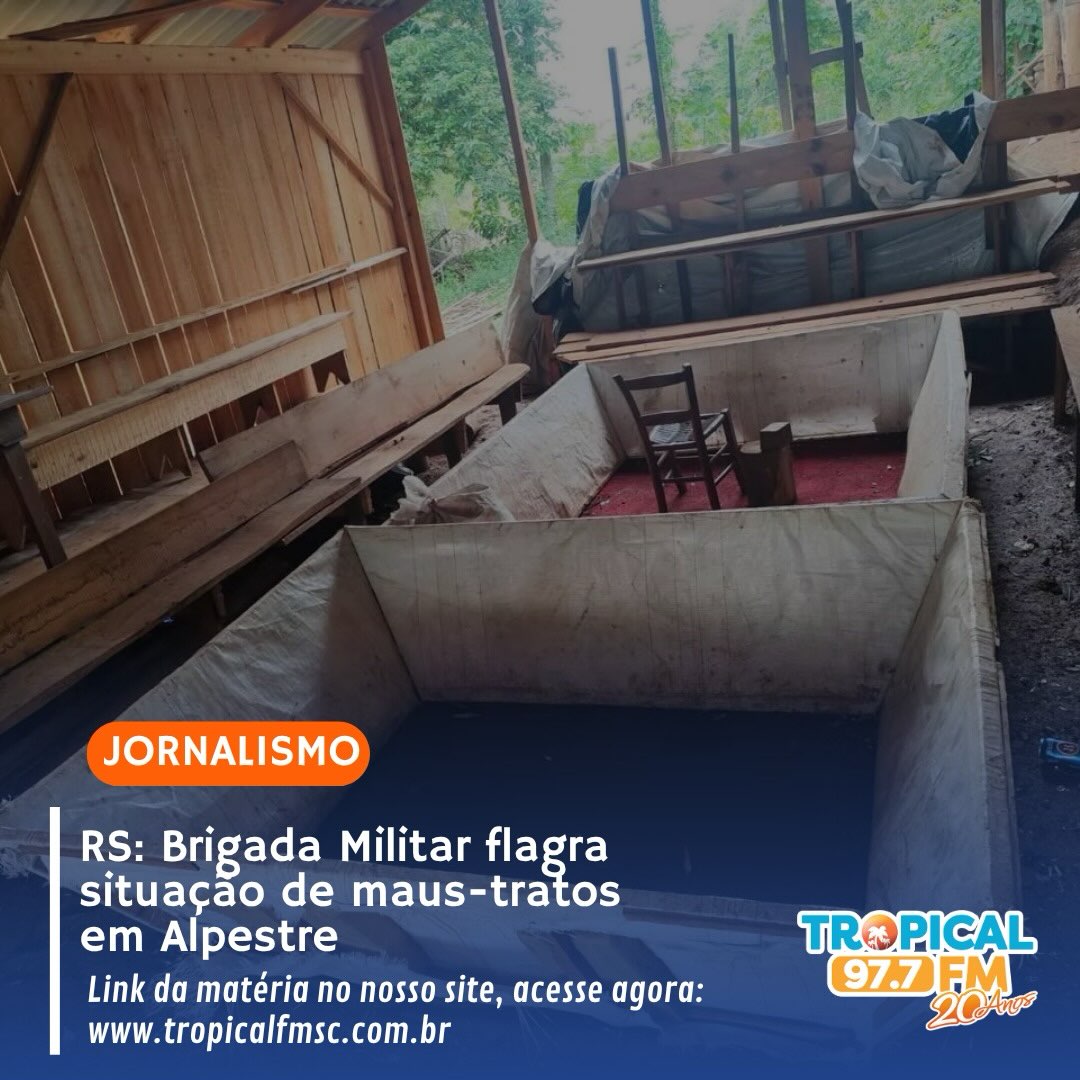 A Brigada Militar flagrou, nesta quinta-feira (08), uma situação de maus-tratos envolvendo galos, no interior do município de Alpestre.
Após o recebimento de uma denúncia, policiais militares, juntamente com agentes da Secretaria Municipal de Meio Ambiente, realizaram a fiscalização de uma propriedade, onde foram encontrados 25 galos da raça mura, mantidos em condições e circunstâncias que indicavam possível utilização em atividades relacionadas à prática de rinha de galos.
Durante a inspeção, constatou-se que os animais apresentavam os esporões amputados, procedimento que implica alteração física deliberada e lesiva, incompatível com a integridade e as características naturais das aves.
No local, também foram encontrados dois rinhadeiros, arenas artesanais utilizadas para a realização de rinhas de galos. A presença dessas estruturas, associada às condições constatadas durante a fiscalização, indicava que os animais poderiam estar sendo mantidos e preparados para utilização em combates.