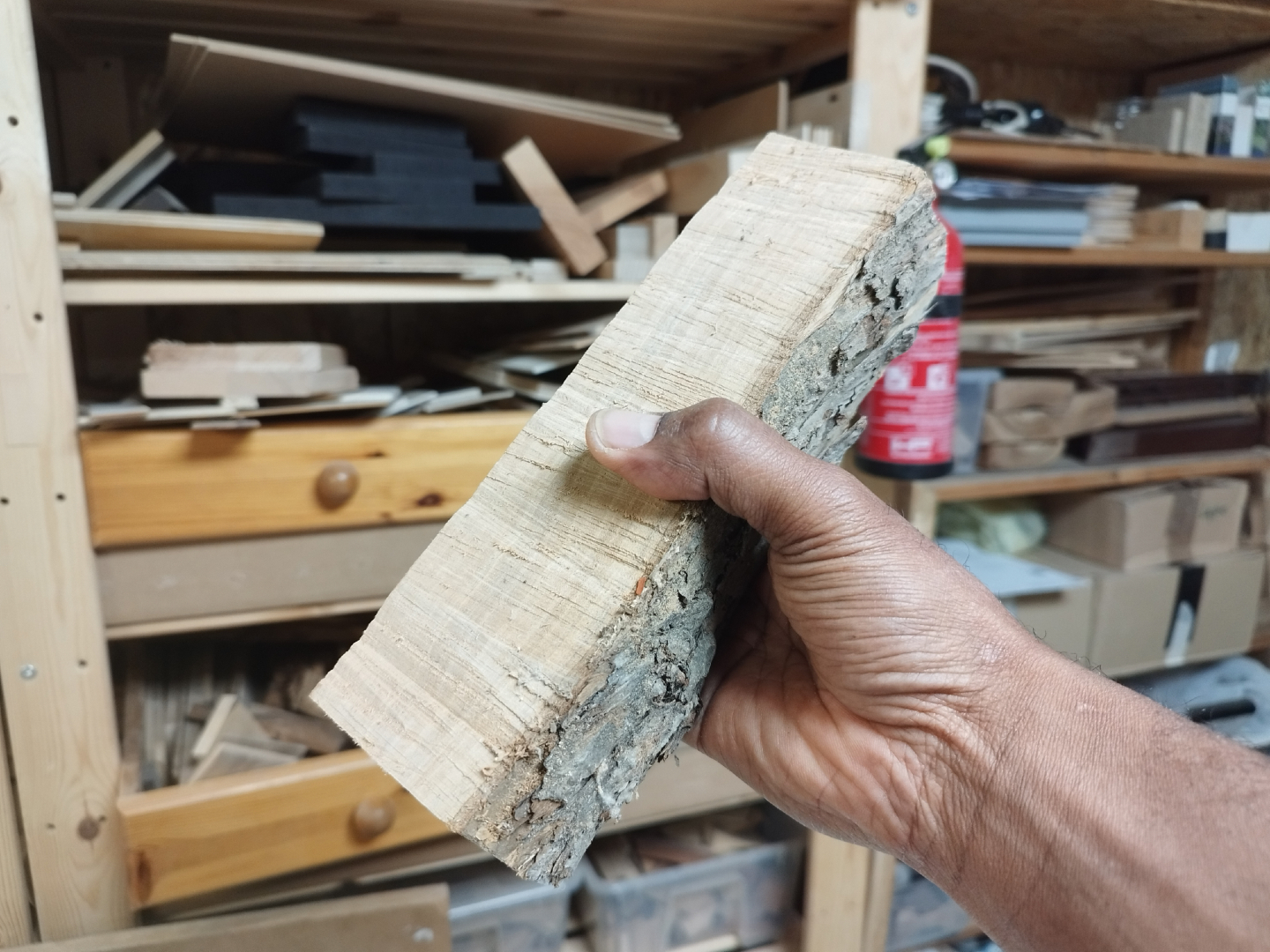 🇩🇪
Das hier ist noch nichts. Ein rohes Stück Holz, frisch aus dem Stapel.
Aber genau daraus entsteht gerade der Nachschub für 's Fachl in Kempten — wo unsere Stücke noch bis Mitte Dezember im Probeverkauf liegen.
Nichts wird verschwendet. Jedes Stück bekommt die Zeit, die es braucht.
#ThysWoodDesign #SlowMakeComplete #NothingIsWaste #sFachl #Kempten
---
🇬🇧
This is still nothing. A raw piece of wood, fresh from the stack.
But this is exactly what's becoming the next pieces for 's Fachl in Kempten — where our work is on trial through mid-December.
Nothing is wasted. Every piece gets the time it needs.
#ThysWoodDesign #SlowMakeComplete #NothingIsWaste #sFachl #Kempten