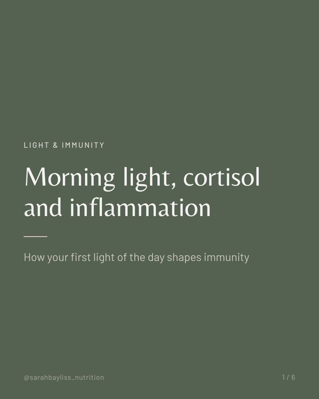 Cortisol has a reputation as the stress hormone.
It is also one of the body's most important anti-inflammatory signals, and its timing matters as much as its level.
In a healthy rhythm, cortisol rises sharply in the first hour after waking, then falls steadily through the day to its lowest point at night.
That curve helps tell immune cells when to be active and when to rest and repair.
Light sets the curve.
Daylight soon after waking helps time the morning rise.
Darkness in the evening lets it fall.
When days are spent indoors and evenings under bright light, the curve can flatten.
A flatter cortisol rhythm is linked with more inflammation, and under chronic stress, immune cells can become less responsive to cortisol's signal.
So before reaching for immune-supporting foods this winter, start with the input that costs nothing: daylight within an hour of waking.
Light is where winter resilience begins.
Food is how we build on it.
On Saturday 17 October at Hawkwood College: a full day on Eating for Immunity, connecting light, blood sugar, the gut and the stress response, with practical tools to take home.
9.30am–4pm · Hawkwood College, Stroud
Booking via Hawkwood, link in bio.
Build a better you.