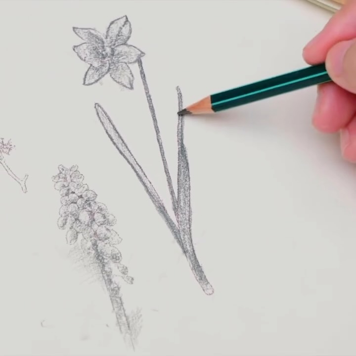 Dibuja, sombrea y dale forma a tus ideas con STABILO Othello Arty. ✏️🎨 Con sus diferentes grados de dureza, son la opción versátil e ideal para bocetos, trazos precisos, sombreados y todo tipo de proyectos artísticos. ✨
🏢 Visítanos en nuestro showroom
Encuentra nuestros productos en los mejores almacenes del país
💻 Haz tu compra directa en cuesapanama.com
💬 O escríbenos y con gusto te ayudamos con tu pedido:
📧 ventas@cuesapanama.com
📲 WhatsApp: 6617-5658