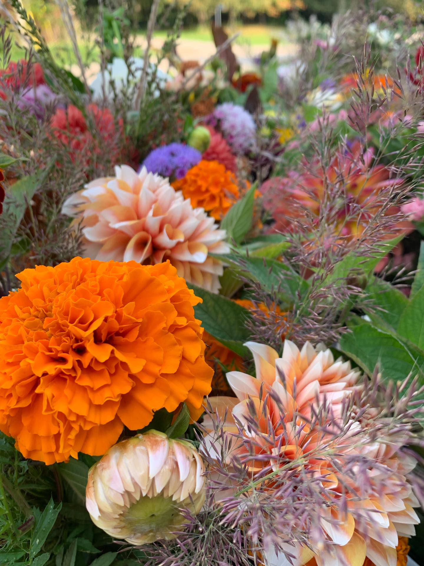 Thanksgiving flowers are available all weekend long at The Garden! Freshly harvested and GORGEOUS! The self serve farm stand is open Thursday thru Sunday 10am-6. Posey bouquets $20. Full sized bouquets $30. And we’ll even have our *new* Take and Make pressed flower crafts and mini flower presses available for an enjoyable activity with your family this harvest holiday!
See you soon!
#thegardeninharrington #harringtonontario #stratfordontario #stmarysontario #tavistockontario