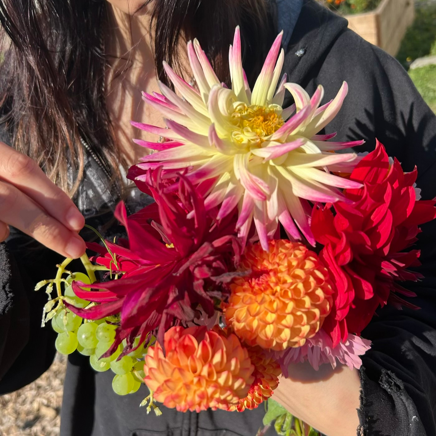 September always feels like a snow-globe has been shaken up in a school; things are settling...
We've been busy bees here at Artemis and still picking flowers well into October 🌞
We are closed Monday, more photos soon of what we've been up to with our wonderful students at school and in community 🍓
Have a great weekend everyone!