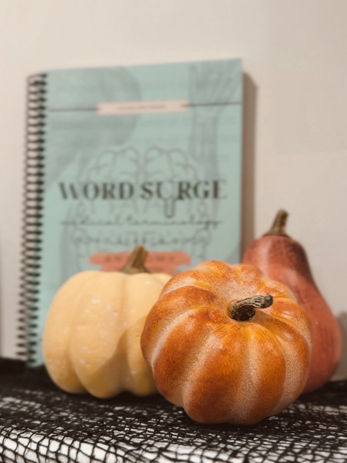 2 years ago 🎉 today I launched the very first Word Surge book. It was only fitting to launch the NEW and 2nd Word Surge book, today!
October 10, 2026 - the very first Word Surge Anatomy book!
✨ I got this idea when I was taking anatomy during my masters. When taking anatomy, you learn the body in regions, in this case upper limb is one region of the body. In each region, you learn all of the systems (integument, muscular, vascular, lymphatics, nervous, and skeletal).
🫀The body is crafted so intricately. Every bone has specific landmarks. Every muscle has a point of origin and insertion point to provide us with our everyday movements. Every vascular network has a point of origin and organs it supplies or drains. Every nerve has a point of origin and organ it innervates.
📚While undertaking my studies, I thought how could I make learning anatamoy more fun, engaging, and relaxing? I took the same concept as my first book, Word Surge Medical Terminology and created an Anatomy book series.
Order book today at the link in my bio!
#wordsearchpuzzle #learnanatomy