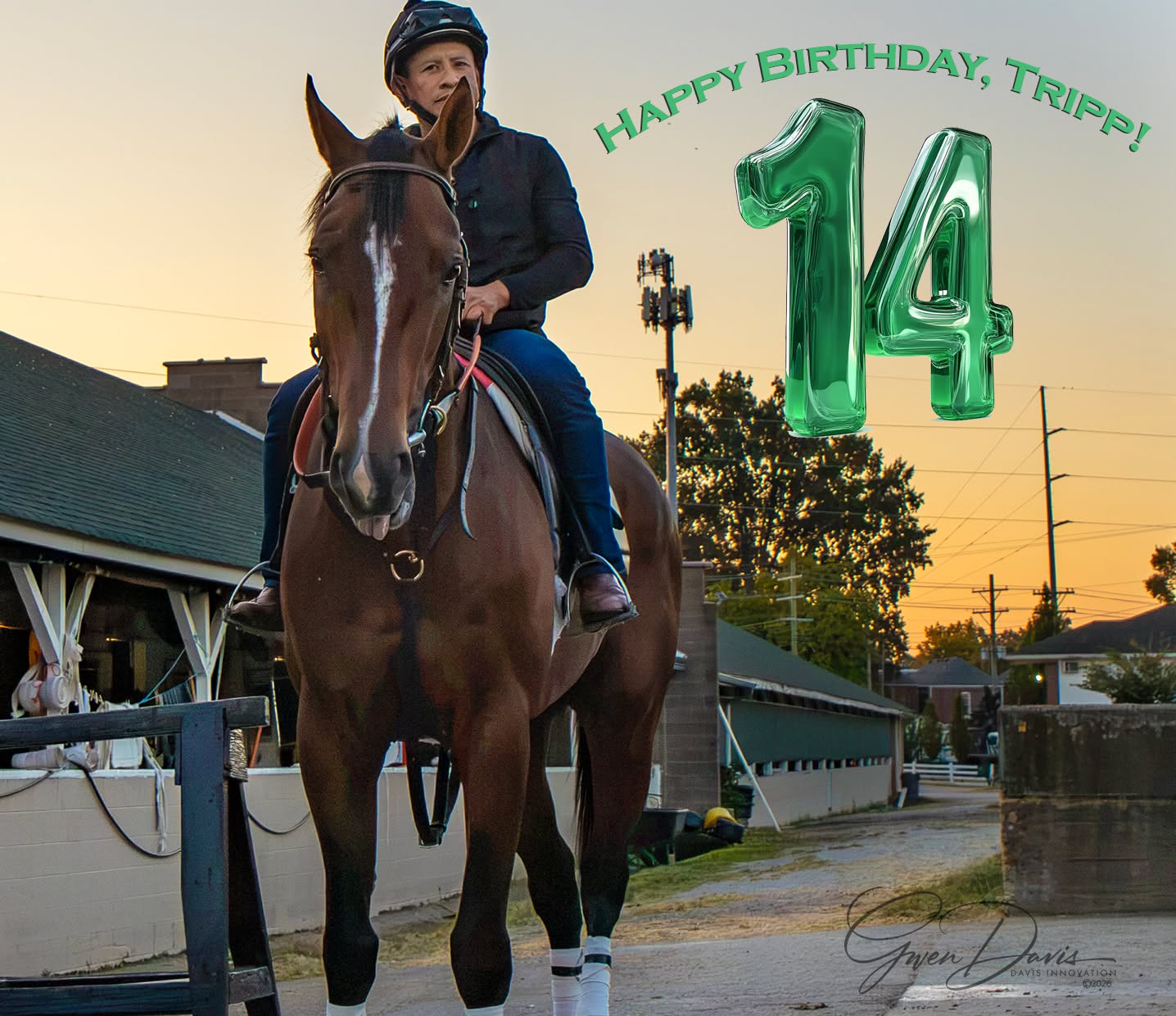 14 candles. Post 14. One special birthday wish! πππTrippβs Promise breaks from the 14 post today at Keeneland on his namesake Trippβs 14th birthday! Happy Birthday, Tripp β let's hope 14 is your lucky number today! π