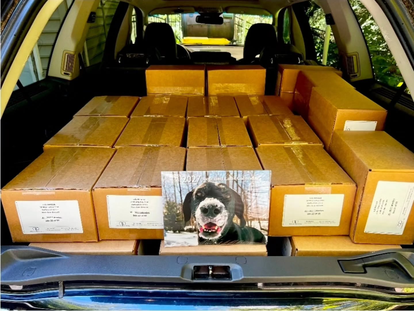 📅🐾 The calendars are HERE! 🎉
Our printed calendars have arrived and are being prepared for delivery and shipping! Get ready for 12 months of adorable Labs heading your way! 🐶❤️. Dont miss out!! 2027 Rescued Labs Calendar – Lab Rescue LRCP https://share.google/QP6cm1jgPh2lFxXLn (see link in bio).