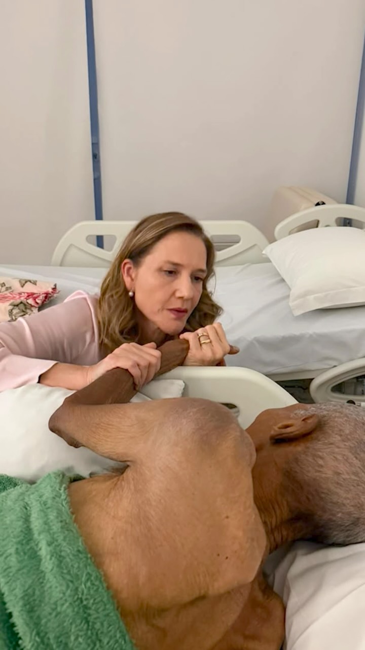 Às vezes, o que uma pessoa mais precisa não está em uma prescrição médica. Está na presença de quem ama. 💛
O Sr. P. chegou ao Hospice Jesuína Rosa Silva com o corpo fragilizado pelo câncer avançado. Recebeu os cuidados necessários, mas havia uma inquietação que os medicamentos, sozinhos, não conseguiam aliviar.
Foi quando descobrimos que ele sentia falta de alguém muito especial: Tim-Tim, um galinho que havia se tornado seu companheiro inseparável. Dividiam a rotina, a cama e até os chinelos azuis.
E nós fizemos questão de proporcionar esse reencontro.
Quando Tim-Tim chegou, algo mudou. O Sr. P. sorriu. Seus gemidos cessaram. A inquietação deu lugar à serenidade. Naquele instante, o amor alcançou um lugar onde os medicamentos não chegavam.
Pouco tempo depois, o Sr. P. fez sua travessia. E a família nos contou que, naquele mesmo momento, Tim-Tim começou a cantar, como se também sentisse que era chegada a hora da despedida.
🌻 Neste Dia Mundial dos Cuidados Paliativos, escolhemos compartilhar essa história porque ela traduz muito daquilo em que acreditamos.
Cuidar de alguém é também conhecer sua história, respeitar seus afetos, compreender seus desejos e reconhecer tudo aquilo que dá sentido à sua existência.
No Hospice Jesuína Rosa Silva, acreditamos que a dignidade não está apenas no alívio da dor física, mas também na possibilidade de viver os últimos momentos cercado de amor, respeito e daquilo que é sagrado para cada pessoa.
Porque, mesmo quando a cura já não é possível, há muito a ser cuidado, acolhido e amado.
O Sr. P. e Tim-Tim nos deixaram uma lição que levaremos para sempre: o amor tem muitas formas de se manifestar. E nenhuma delas é pequena demais quando se trata de fazer alguém feliz.
Não podemos mudar o destino de uma travessia, mas podemos transformar a maneira como ela acontece.
E é por isso que seguimos aqui. Para cuidar da vida, em toda a sua dimensão, até o último instante. 💛