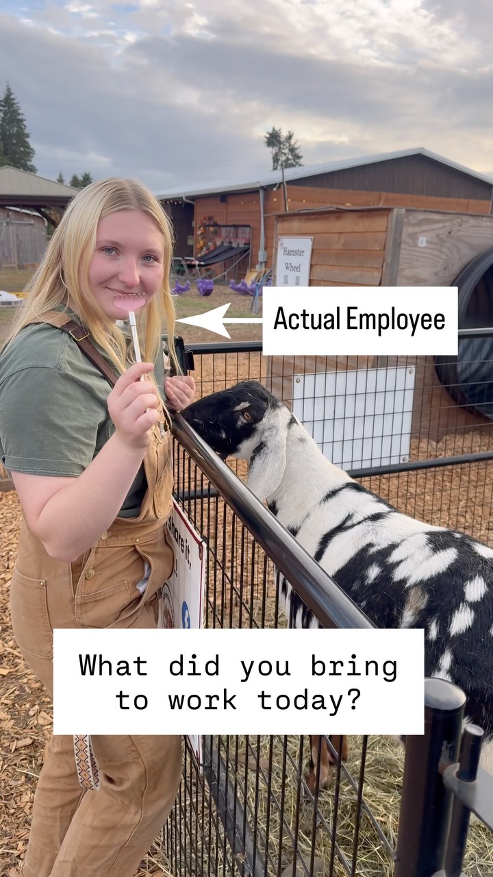 Job Posting: Hardworking employees who thrive in a fast-paced environment.
Actual Employees: “So, I brought a back scratcher for the goats.”
Pulling off a pumpkin patch like ours takes a whole lot of teamwork, and we couldn’t be more thankful for the people who keep this place running and the animals happy.
We really do have the best crew. 🧡