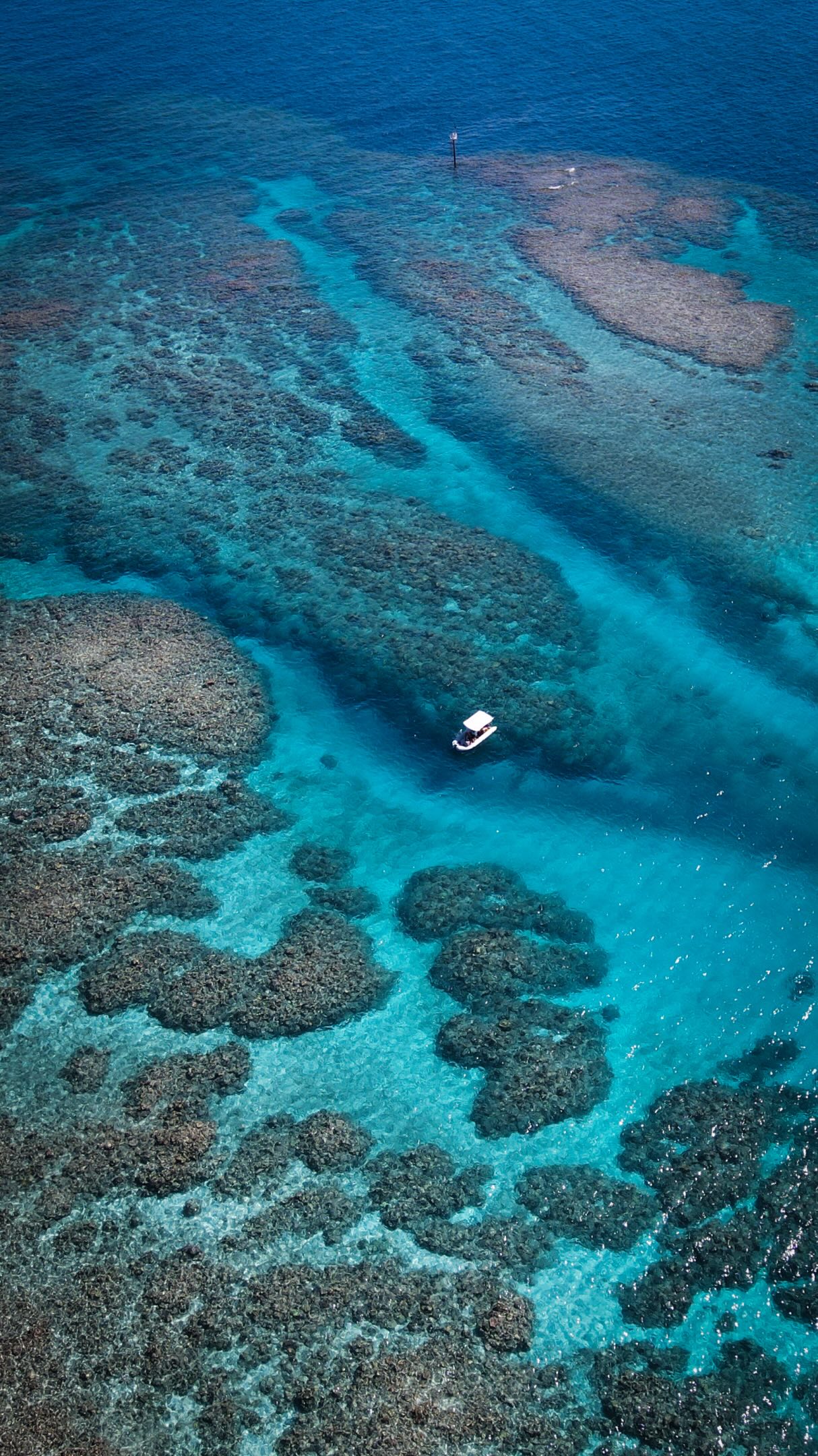 When you get a hint of a glass-out 2 weeks in advance, your calendar is magically clear šš©µš§
Having the Great Barrier Reef on our doorstep with islands to play around.. what a dream š
.
.
.
#greatbarrierreefqld #lovewhitsundays #whitsundaysqld #gbrmarinepark #thegreatbarrierreef