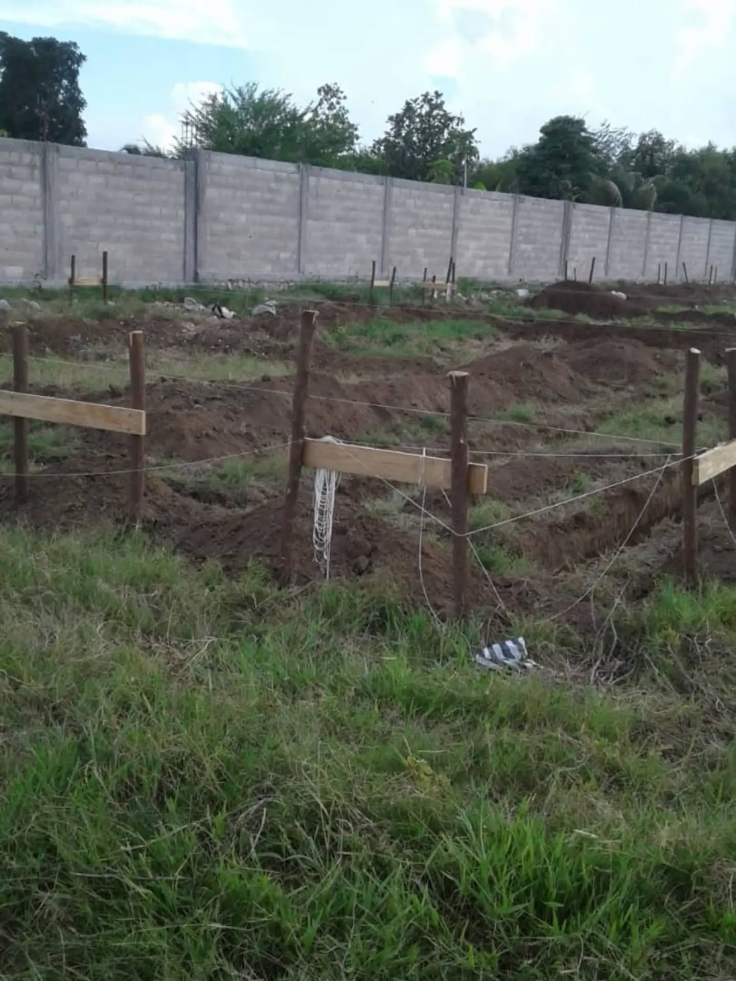 Big things have small beginnings! 🚜✨
Right now it’s just trenches, fresh dirt, and foundation work, but this is the exact moment 300 kids’ futures start becoming reality! 📚🇭🇹
Because of YOUR support, we’re laying the literal groundwork for classrooms, dreams, and endless opportunity. We’re just getting started, and the best is yet to come! 🙌💛
Which part are you most excited to see go up first?! Drop it in the comments! 👇
#BetterTogether #BetterTogetherInternational #Groundbreaking #EducationMatters #HopeForHaiti