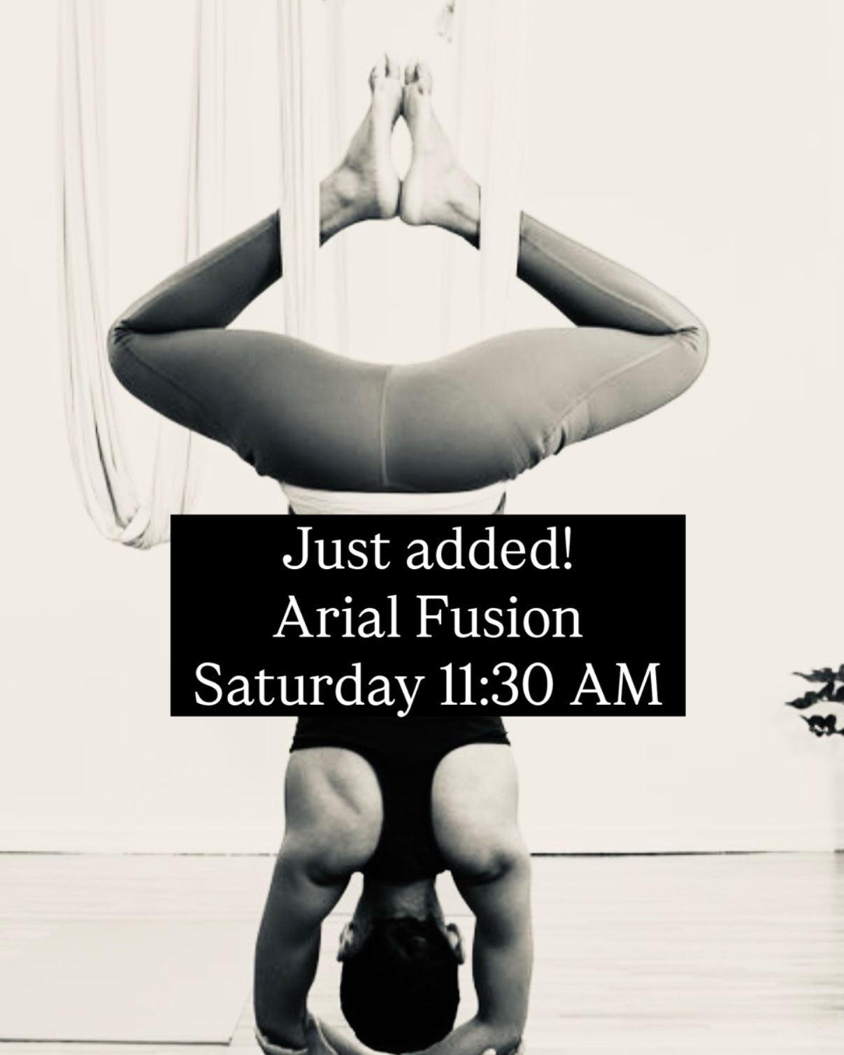 Due to waitlists, we have added an 11:30 AM Arial Fusion class this Saturday at Island Pilates & Wellness.