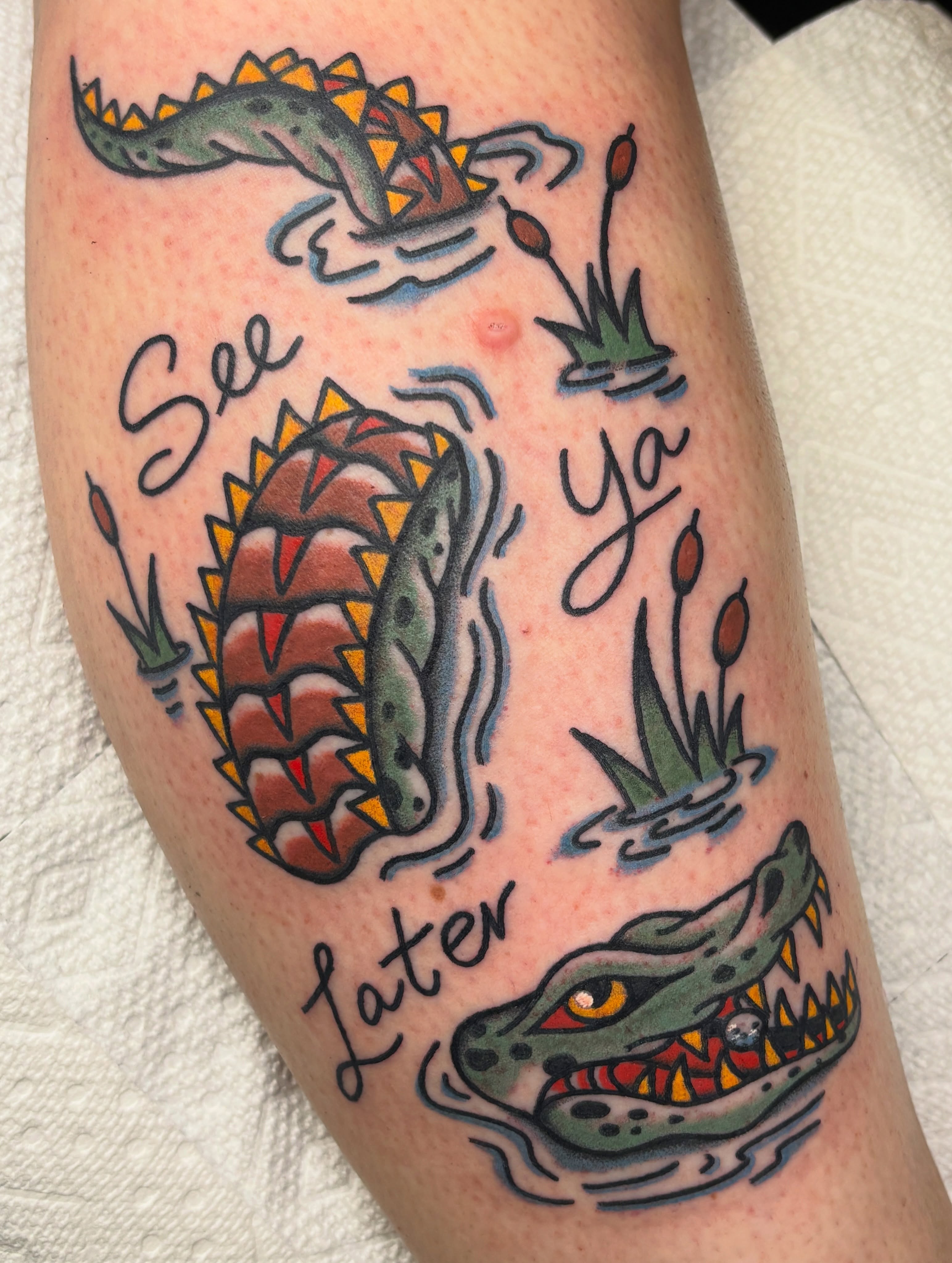 In memory of Grandpa Jim, thank you so much Melissa 🙏🐊