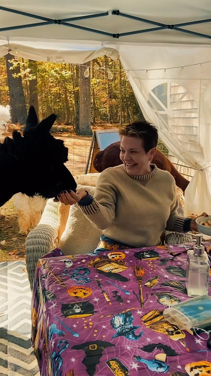 This is what an alpaca farm visit looks like at Lulu’s Barn on Westport Island, Maine
Link in bio FMI or to book.
#maineagritourism #farmvisit #alpaca #ruralmaine #midcoastmaine