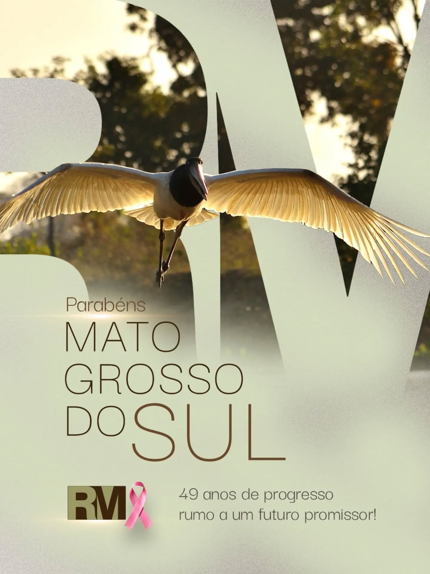 #DataEspecial #Aniversário #MatoGrossoDoSul #49Anos #ResinaMarcon