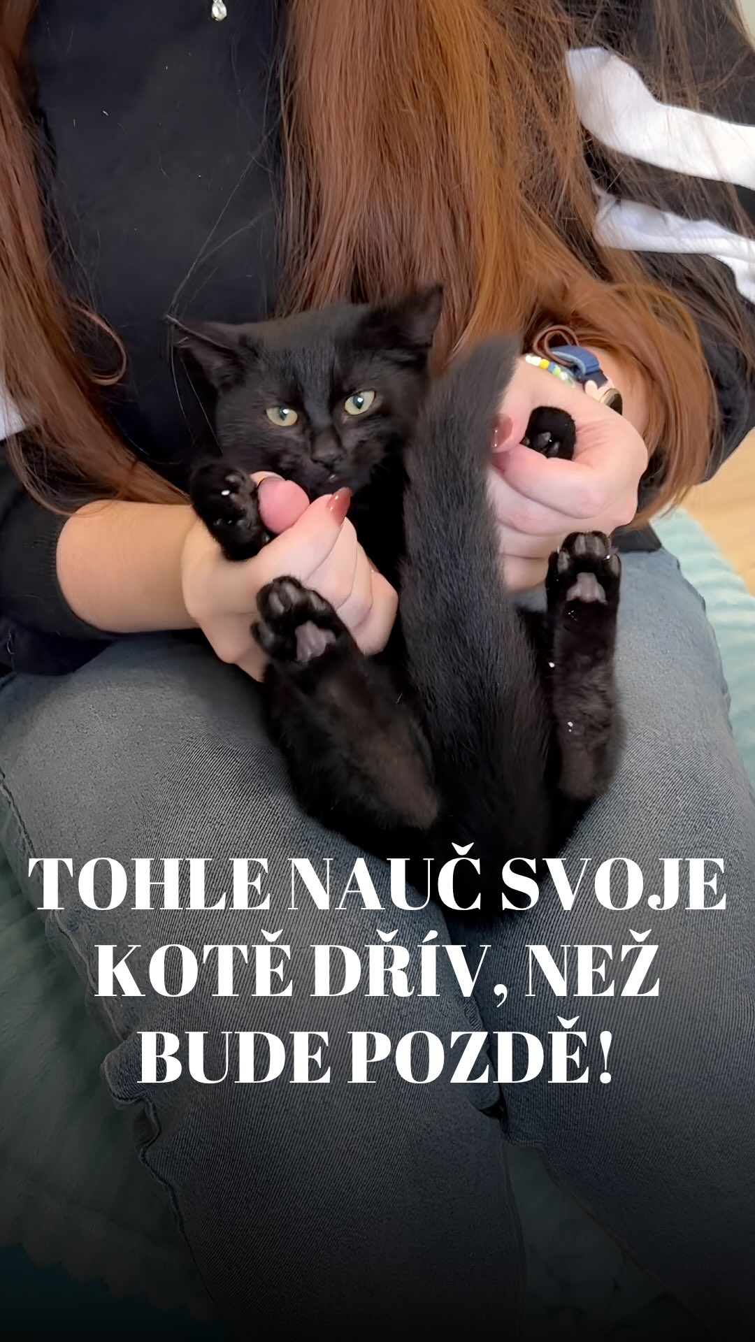 Co je to desenzibilizace a proč by ji měla umět každá kočka? 🐾✨
Podávání léků nemusí být horor a kontrola zdraví boj o holý život. Říká se tomu desenzibilizace – neboli postupné zvykání kočky na manipulaci a pravidelné prohlídky. 😊
Nejjednodušší je začít hned s koťaty, ale nenechte se mýlit – s trochou trpělivosti to naučíte kočku v jakémkoliv věku! Klíčem k úspěchu je ✨vytrvalost a pravidelnost✨. Čím častěji tyto kontroly provádíte, tím spíš si kočka zvykne a tím dříve dokážete odhalit i případný zdravotní problém nebo začínající nemoc! 🩺
Co všechno ve videu trénujeme:
🔍 Kontrola uší a zubů – pro snadné kapání do uší, podávání tablet a odhalení zánětů dásní či svrabu.
🐾 Manipulace s tlapkami – abyste včas odhalili zatržené drápky nebo poranění polštářků.
🙃 Otočení na záda – buduje obrovskou důvěru pro prohlídky bříška.
🤍 Dotyky na obličeji – usnadní čištění očí i aplikaci kapek.
Základní pravidlo: Trénujte v krátkých intervalech, nepřestávejte a vždycky končete v klidu, s pochvalou nebo pamlskem!
Jak je na tom vaše kočka? Zvládá prohlídku zubů, nebo je to u vás boj o holý život? 😂 Napište nám do komentářů! 👇🏼
Terka ze Šklíby 🐾