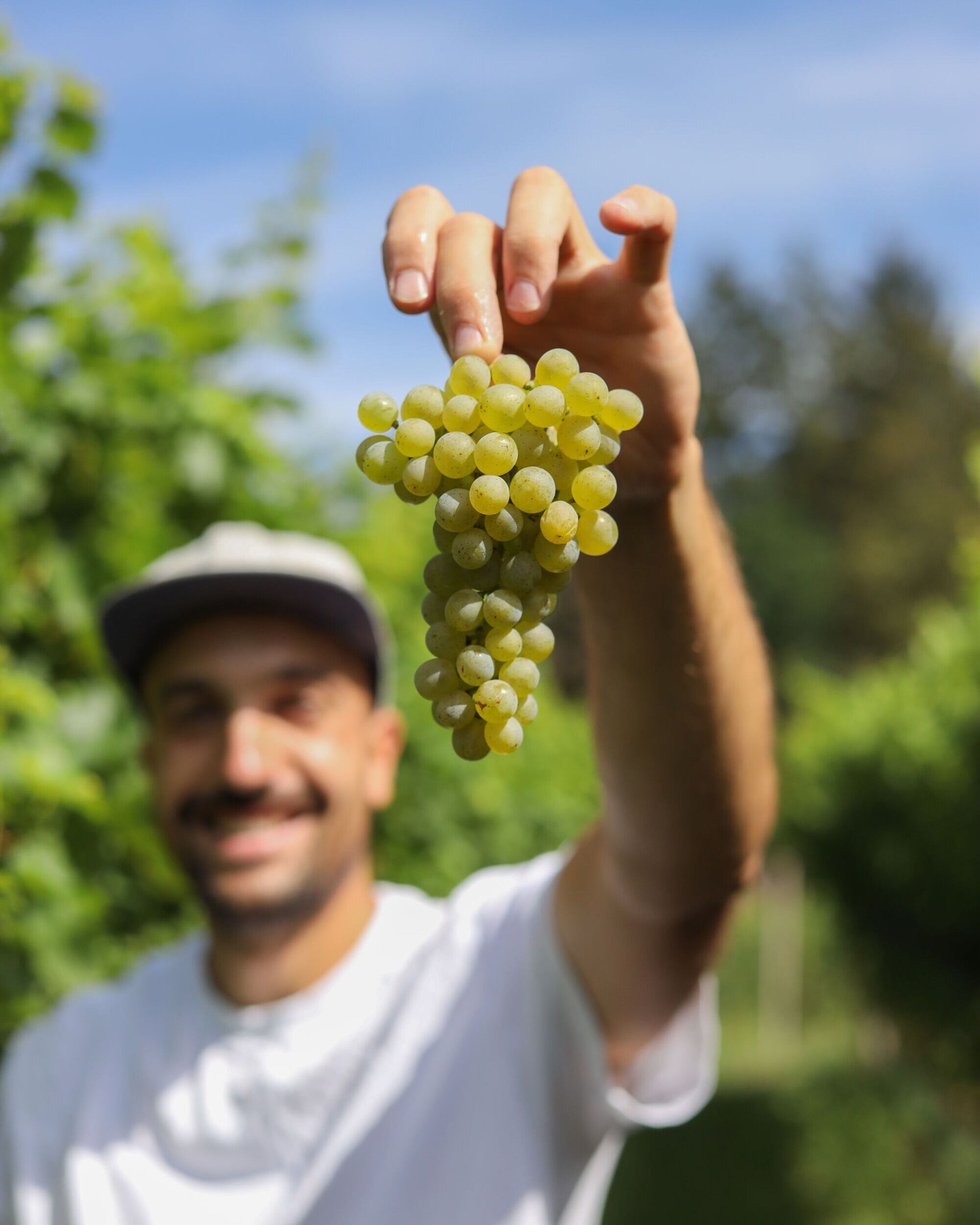 Unser ganzer Stolz? Glückliche Bauern. 🍇🌿
#intactsolutions #zeroresidue #agriculture #highperformingcrops